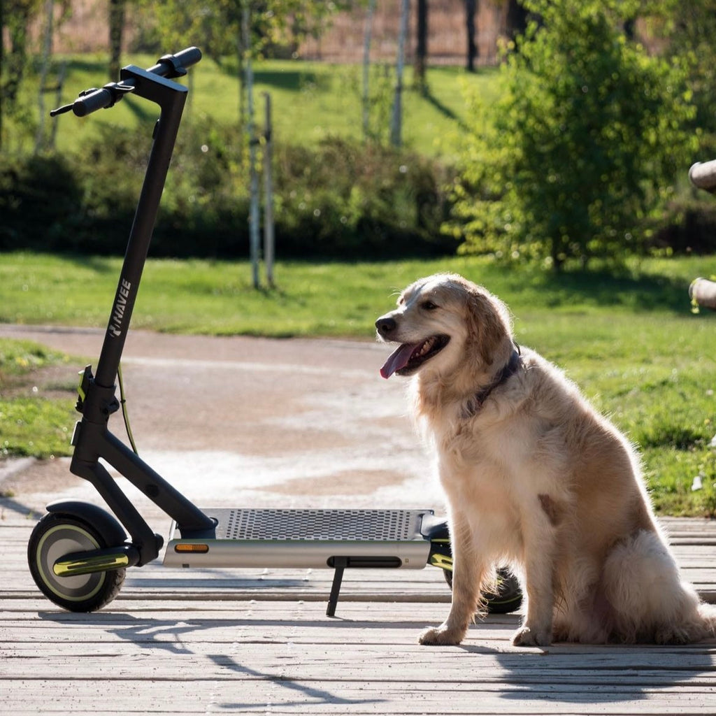 Should you buy the NAVEE S65 E-Scooter?