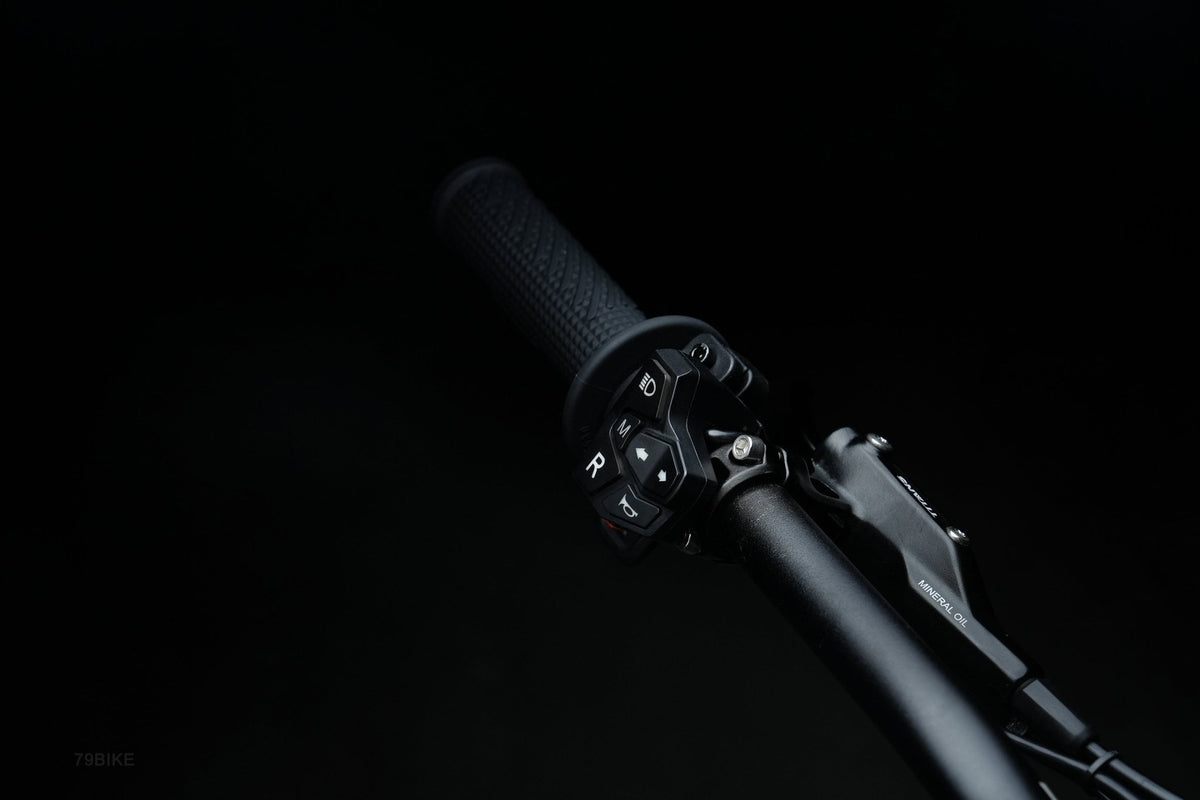 79BIKE-Falcon Pro - Beyond PEV