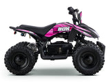 EBOX ACDC Electric Quad - Beyond PEV
