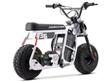 EBOX DRAGSTER EBX 60R - Beyond PEV