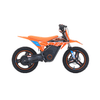 RFN Warrior SX-E500 Electric Bike - Orange/Blue - Beyond PEV