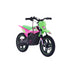 RFN Warrior SX-E500 Electric Bike - Green/Pink