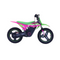 RFN Warrior SX-E500 Electric Bike - Green/Pink