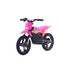 RFN Warrior SX-E500 Electric Bike - Pink/Yellow