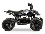 EBOX ACDC Electric Quad - Beyond PEV
