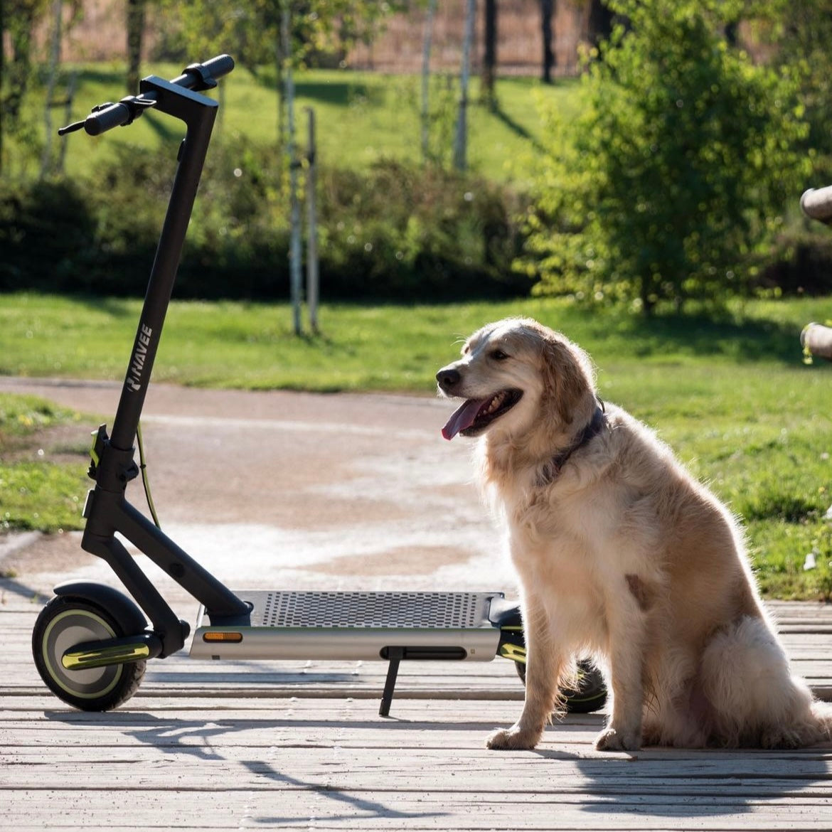 Should you buy the NAVEE S65 E-Scooter?