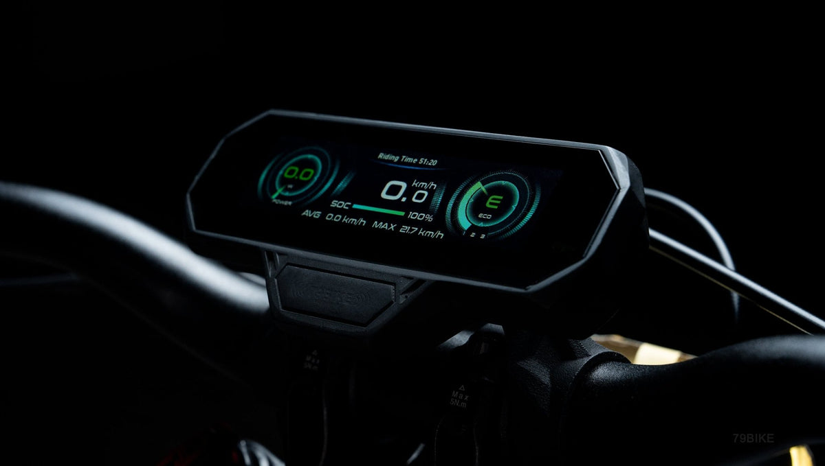 79BIKE-Falcon Pro - Beyond PEV