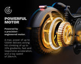 Pure AIR⁶ ULTRA SUSPENSION