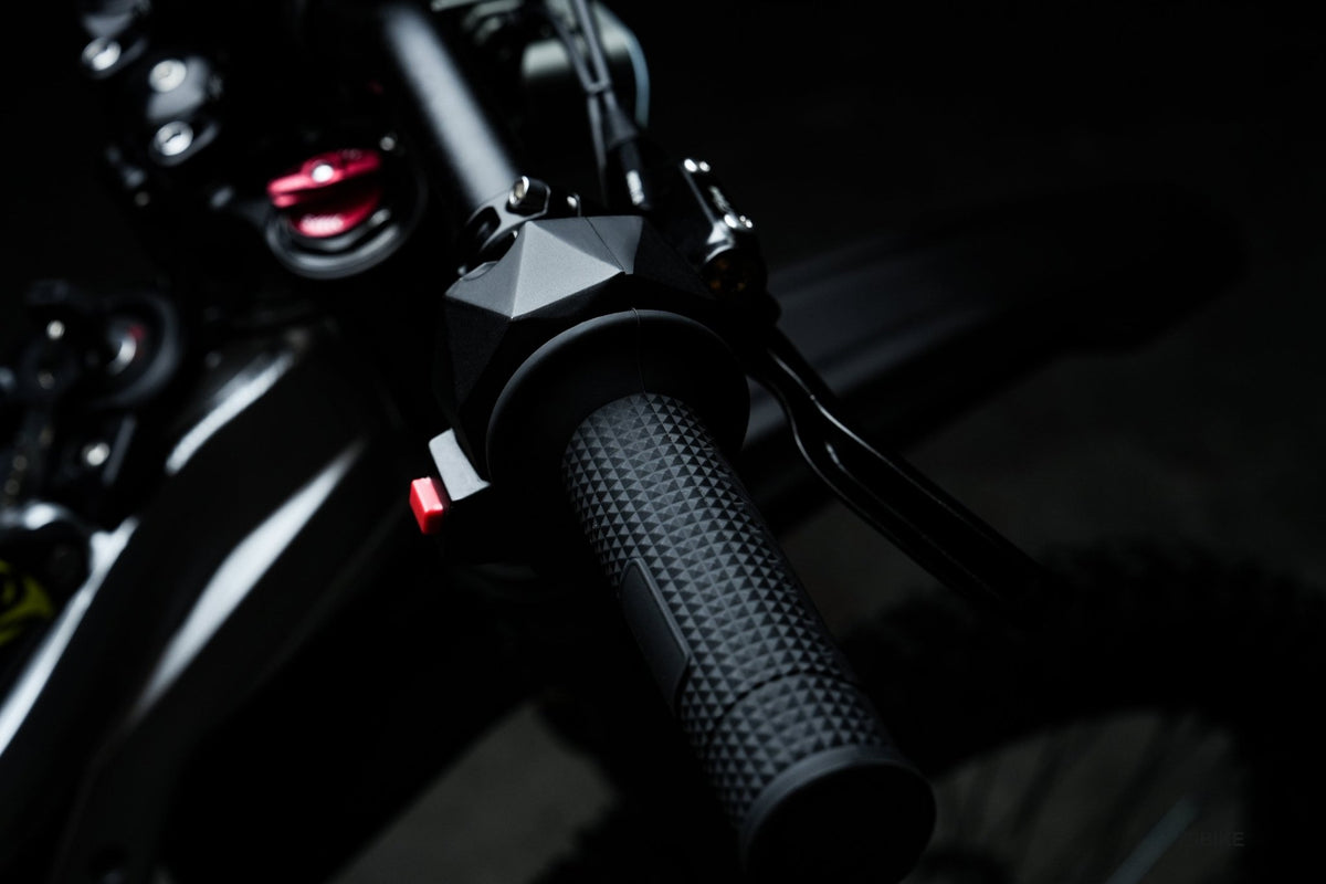 79BIKE-Falcon Pro - Beyond PEV