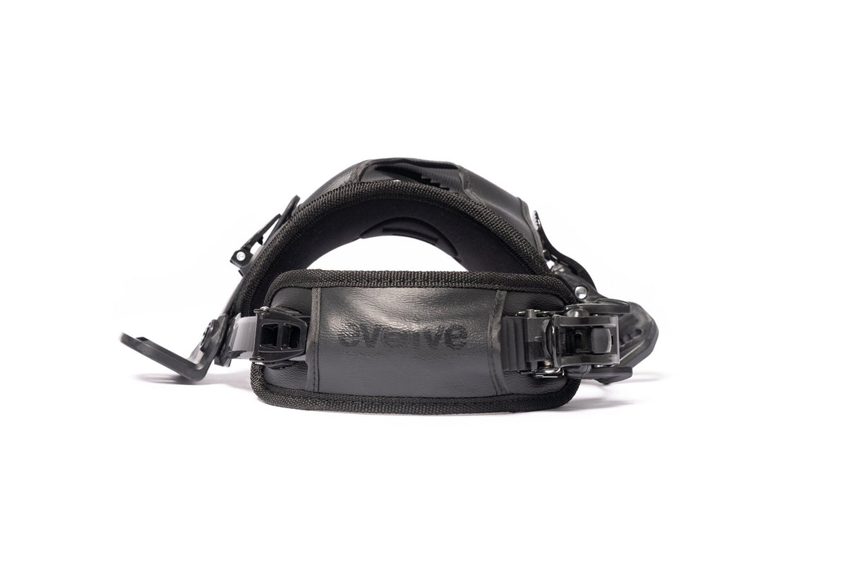 Renegade Bindings - Beyond PEV