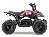 EBOX ACDC Electric Quad