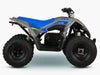 Kayo eA110 Electric ATV - Beyond PEV