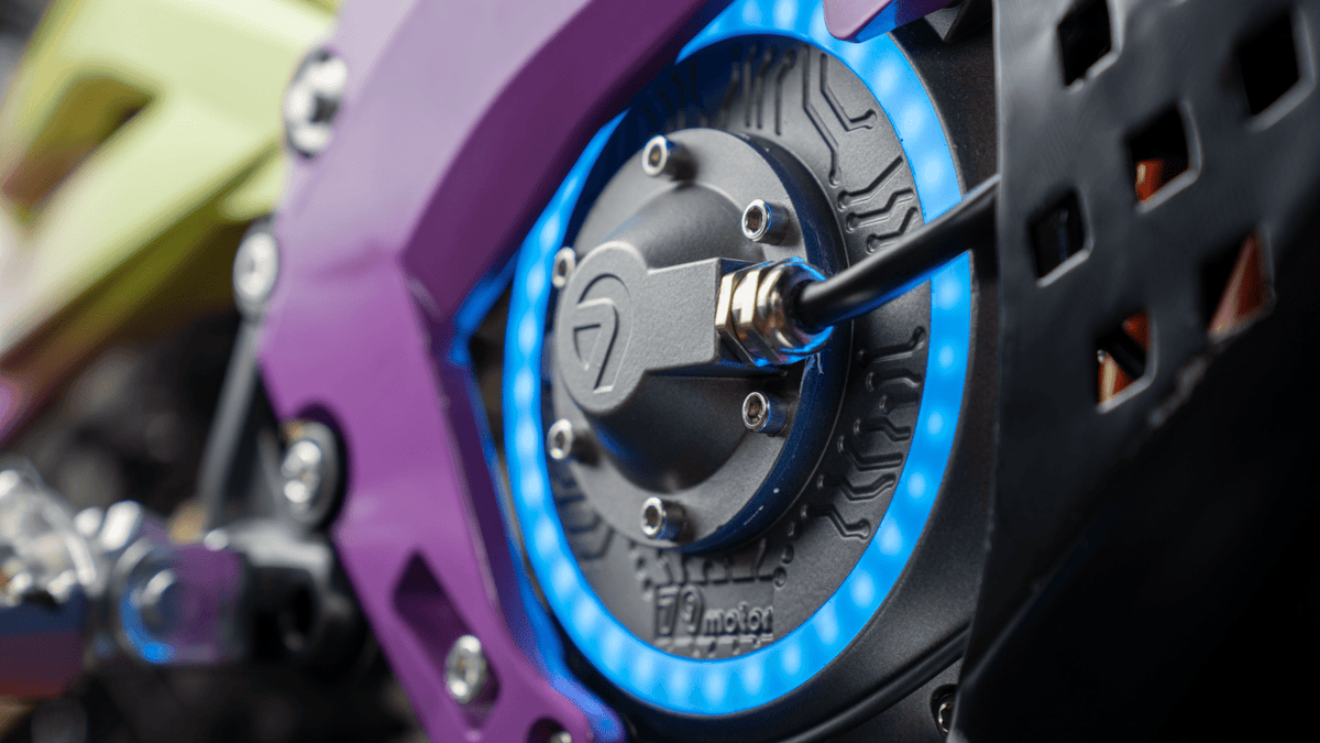 79BIKE-Falcon Pro - Beyond PEV